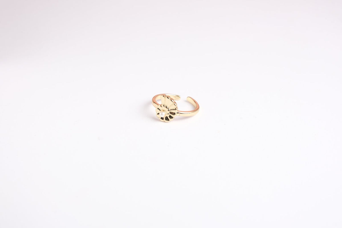 Anillo Concha