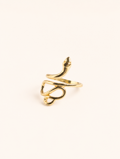 Anillo Snake