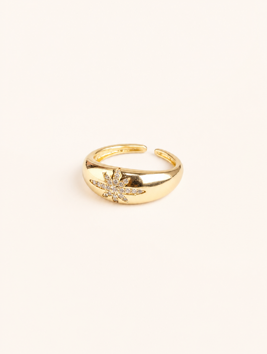Anillo Astral