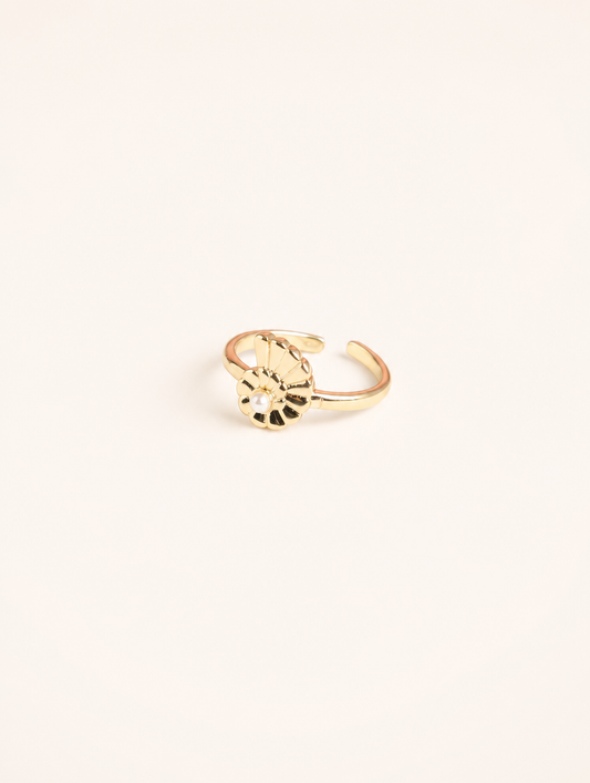 Anillo Virgen