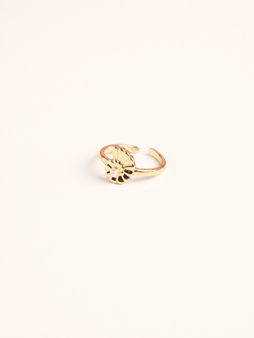 Anillo Concha