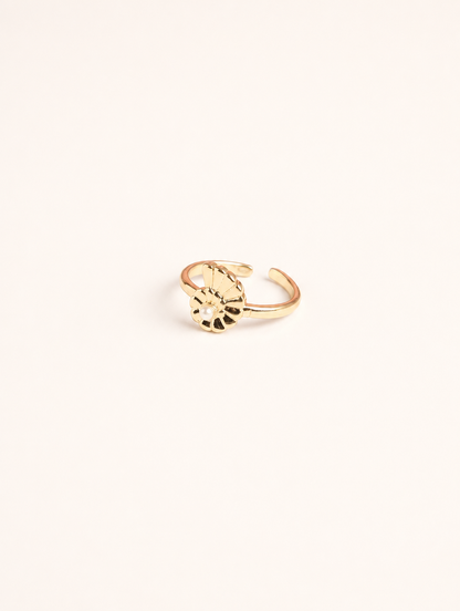 Anillo Concha