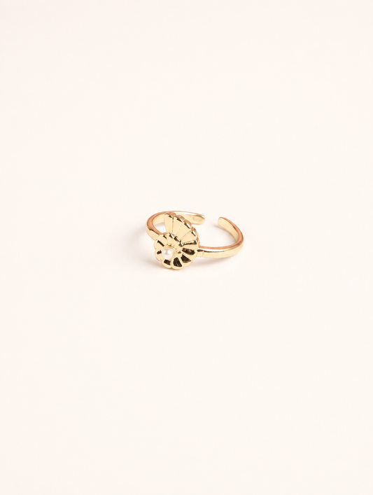 Anillo Concha