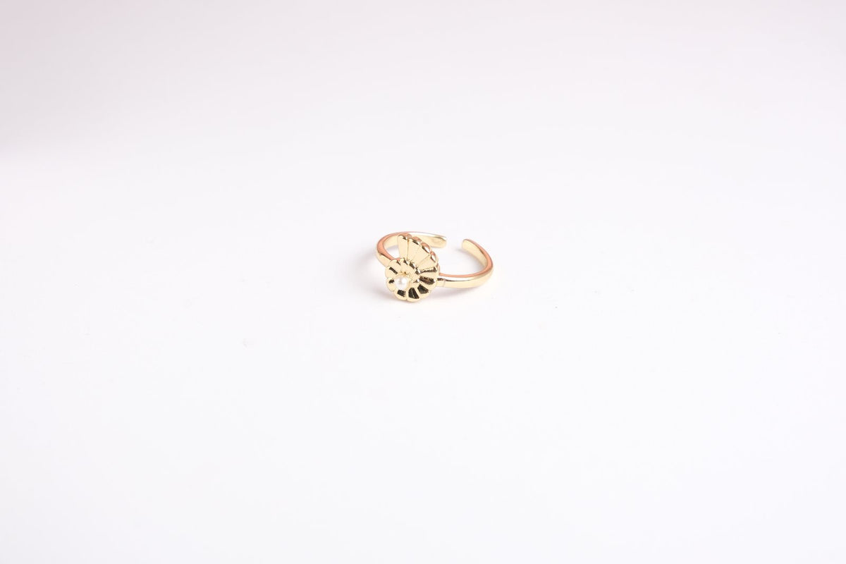 Anillo Virgen