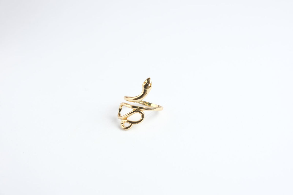 Anillo Snake
